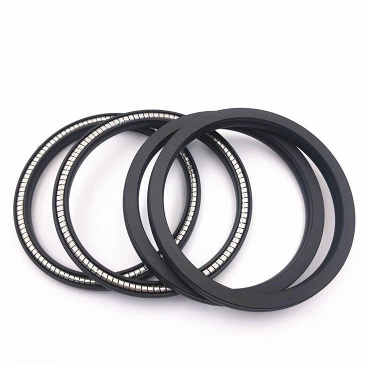 Spring Energized Seal 3