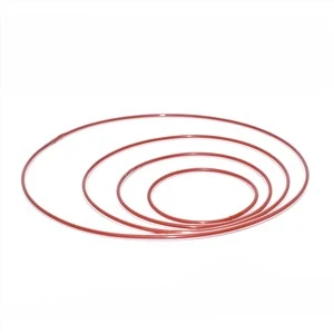 O-ring in FEP con rivestimento trasparente incapsulato